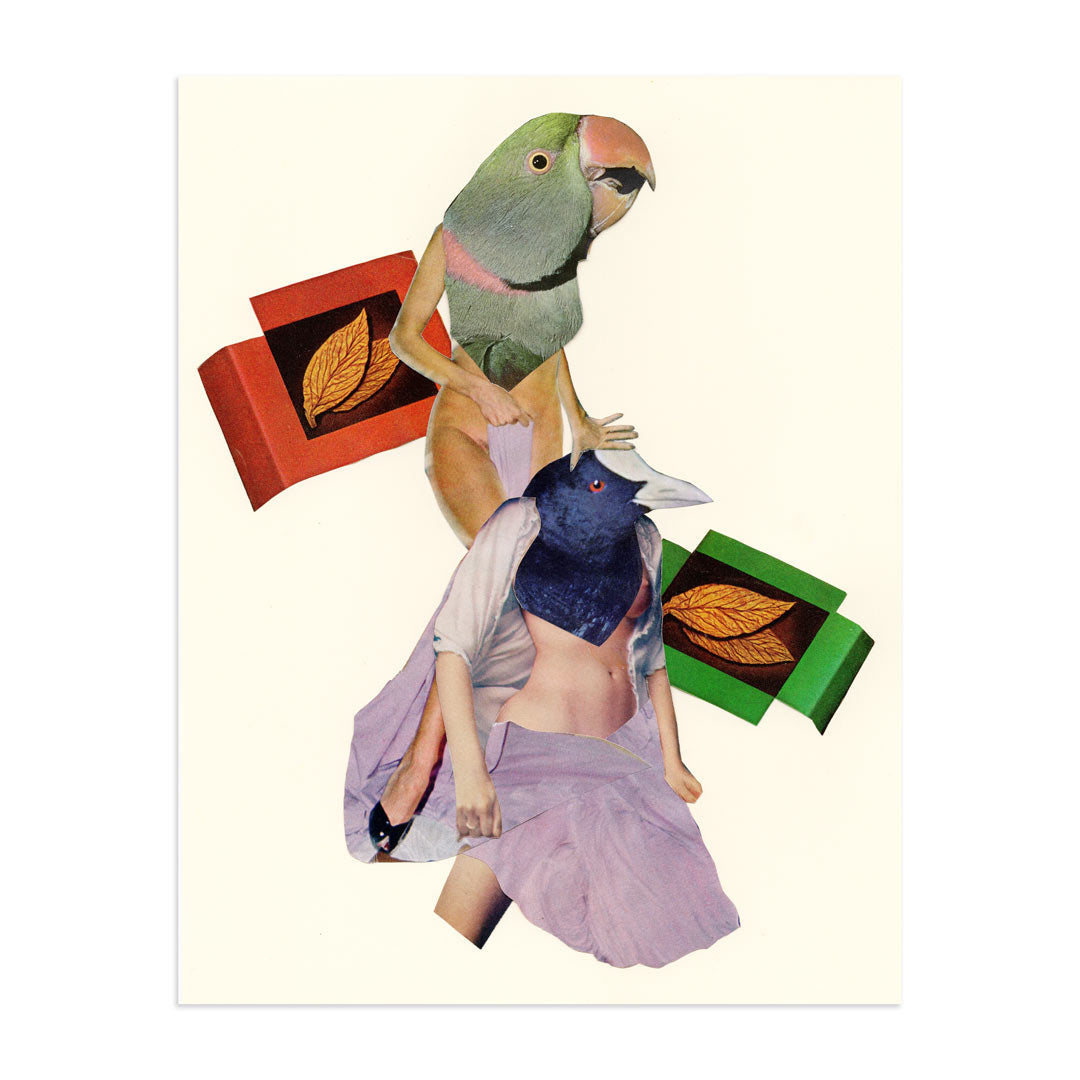 Birds of a Feather Flock Together