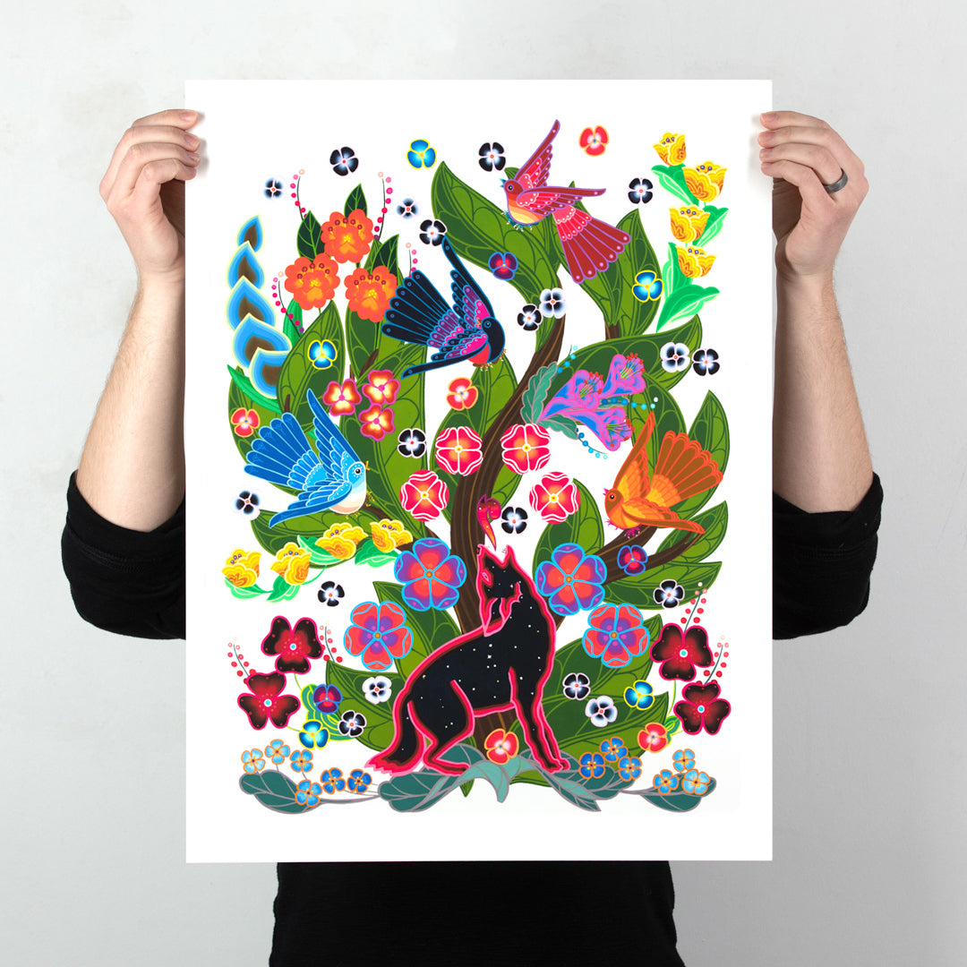 Coyote Astrál - Standard Edition