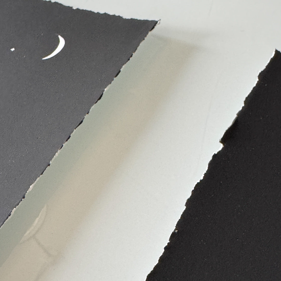 LeCrue Eyebrows Timed Edition 3-Print Set