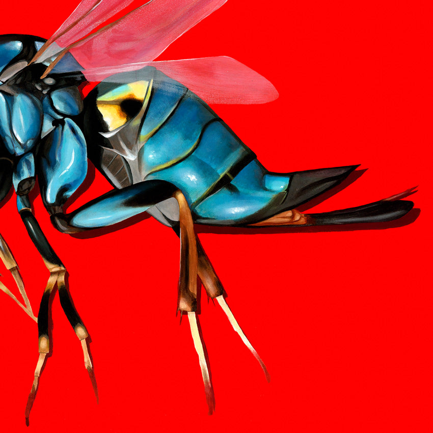 Beatrix - Limited Edition Prints