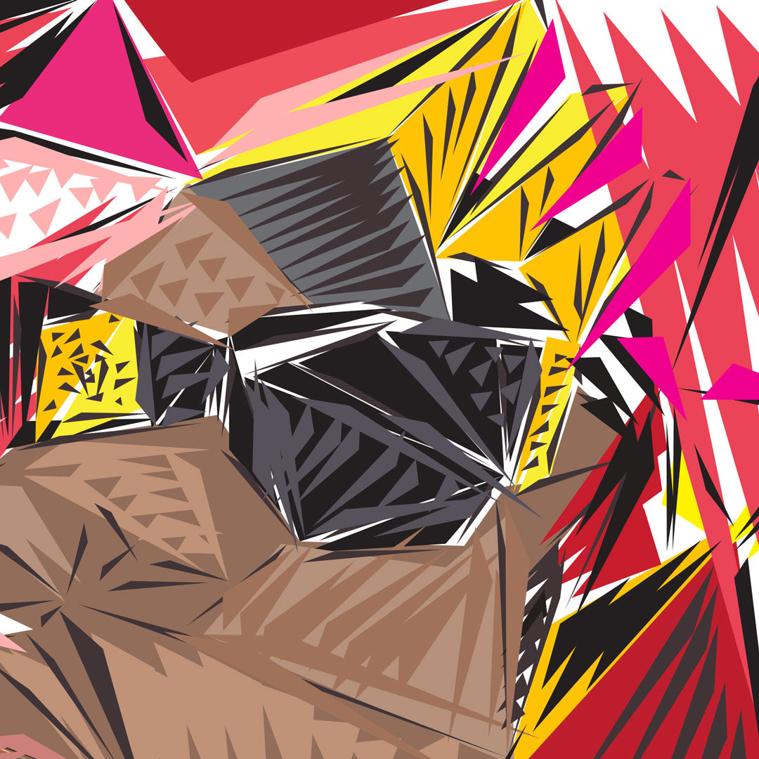 Picasso Biggie - 24 x 24 Variant