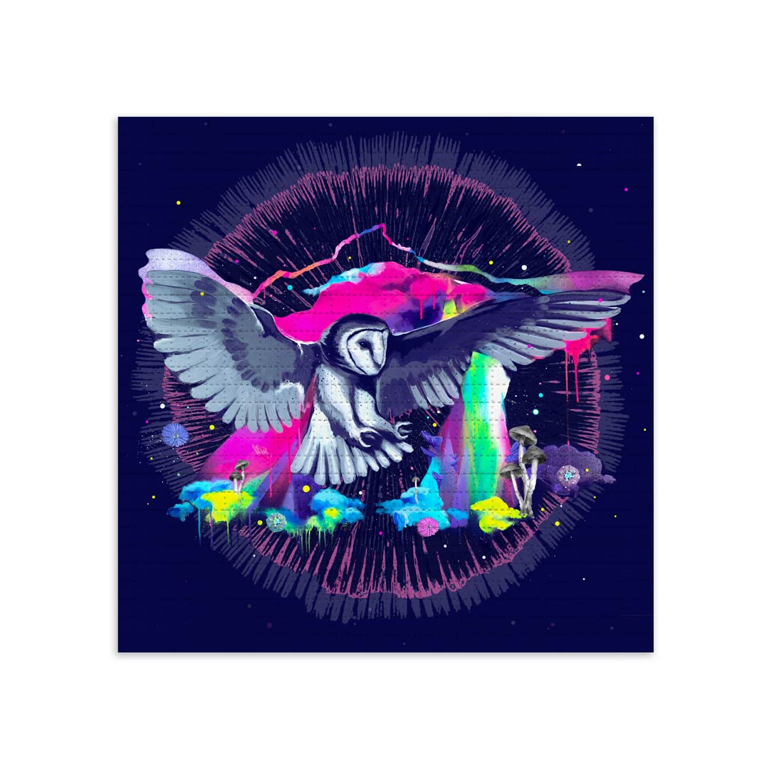 Cosmic Owl