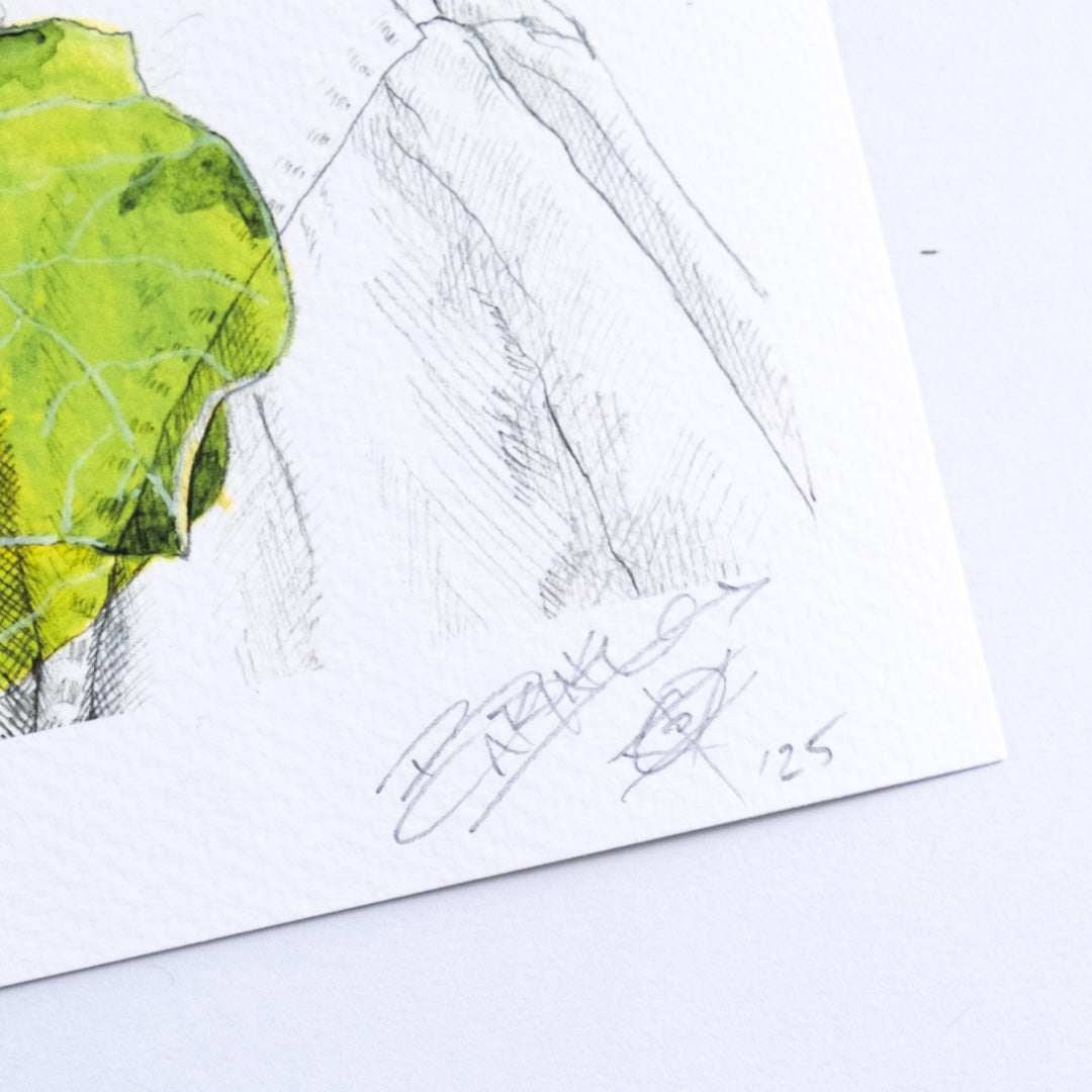 Something About Healing Or Something