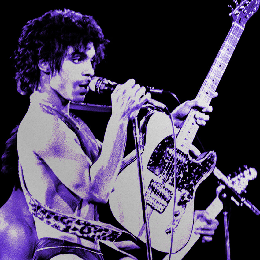 Prince - Detroit - 1980 - Cobo Hall - Aluminum Edition