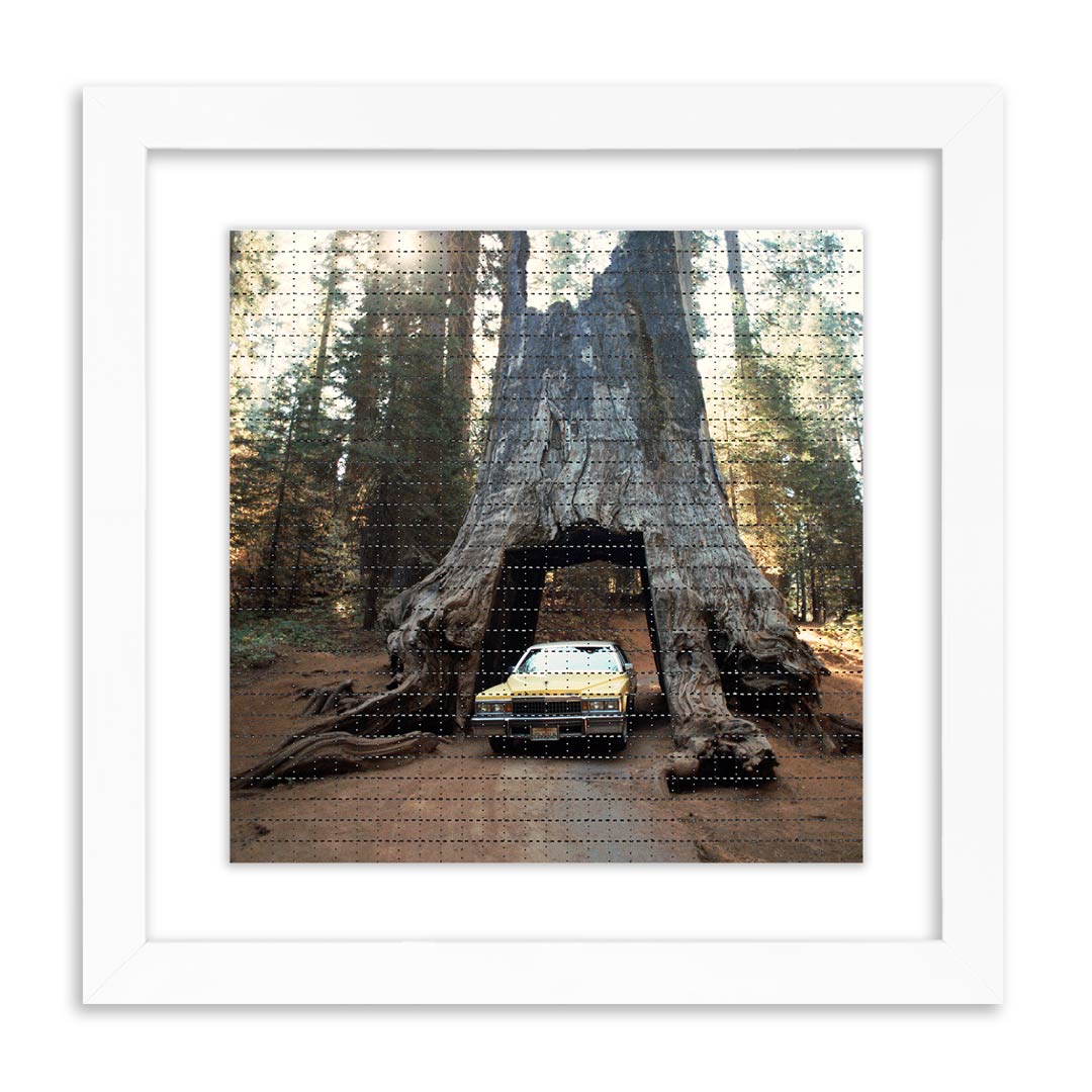 Redwood Garage - Sequoia National Park, October 1988 - Blotter Edition