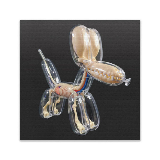 Balloon Dog Anatomy Model