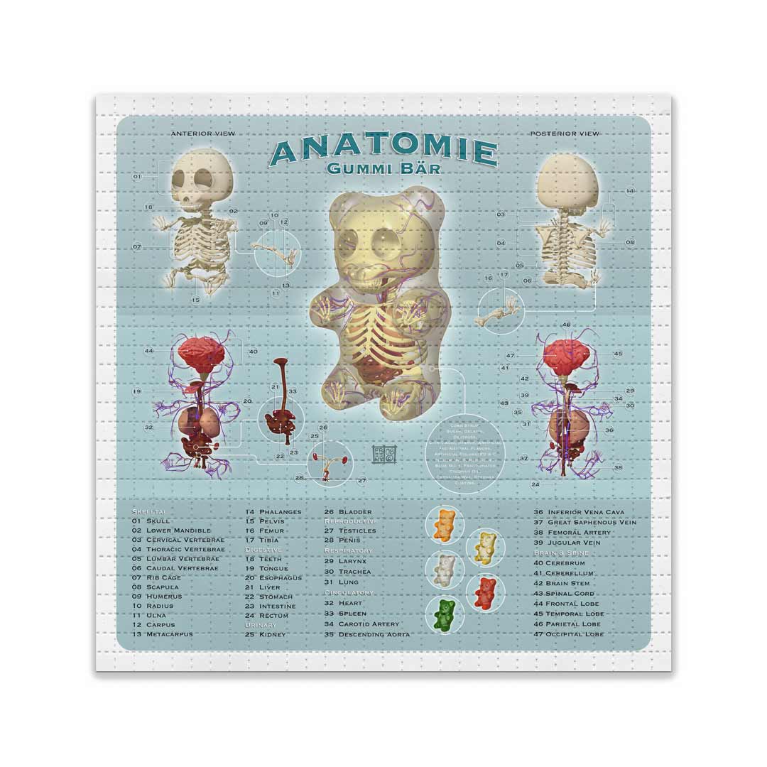 Anatomy (2-Print Set)