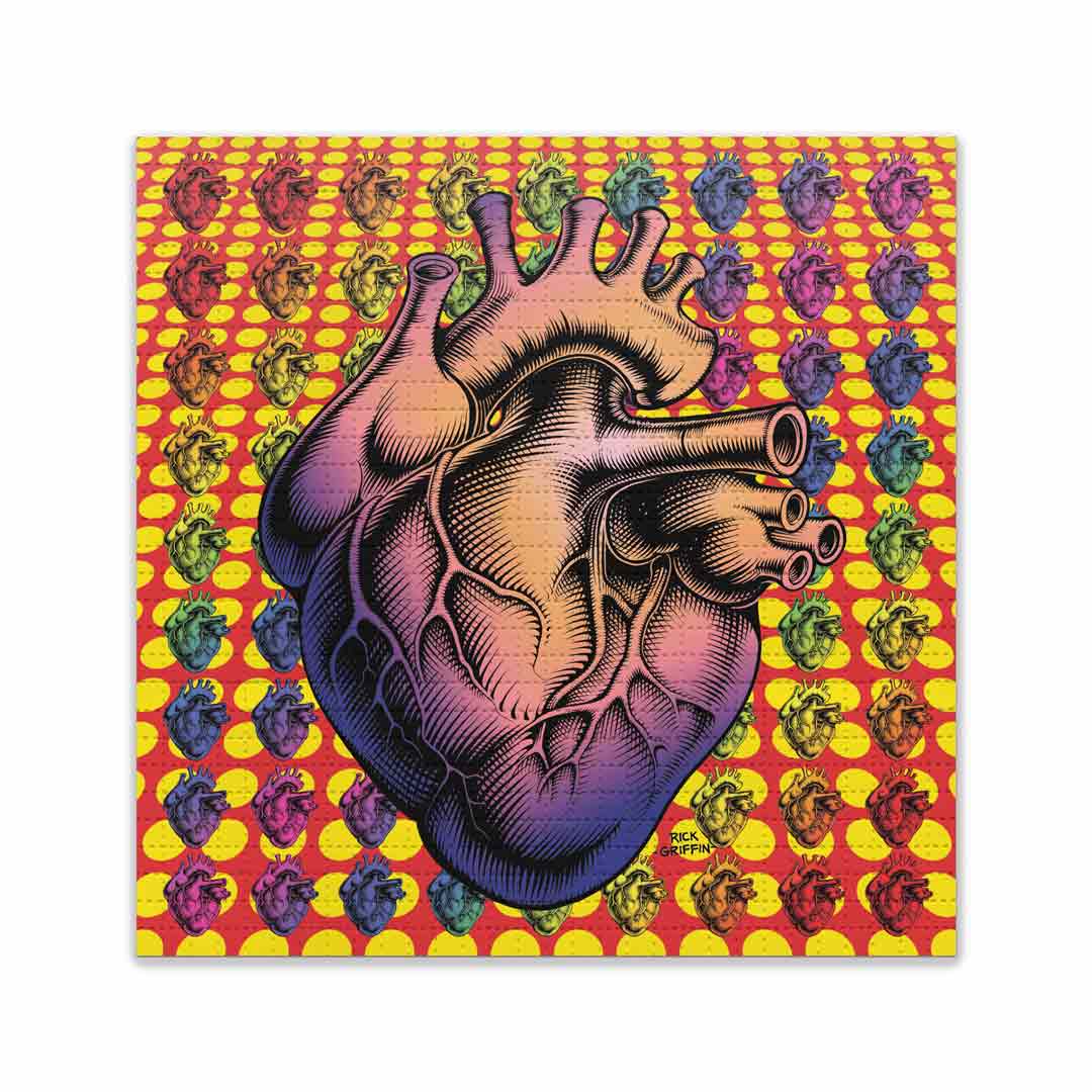 Anatomic Heart - Standard Edition